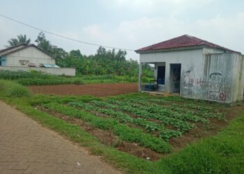 IMG 20230515 WA0060