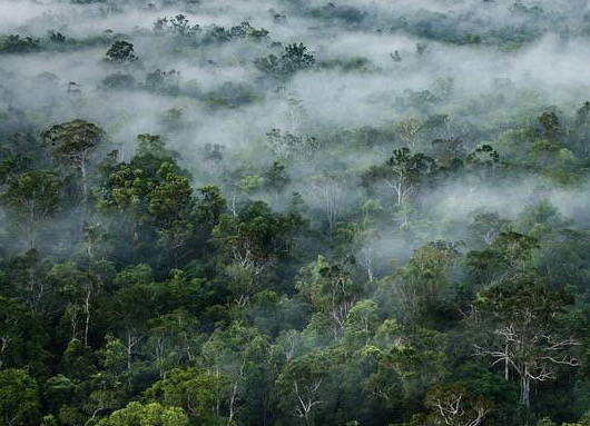 342F5EF3 4F0D 4C73 9858 9DE60A65C380