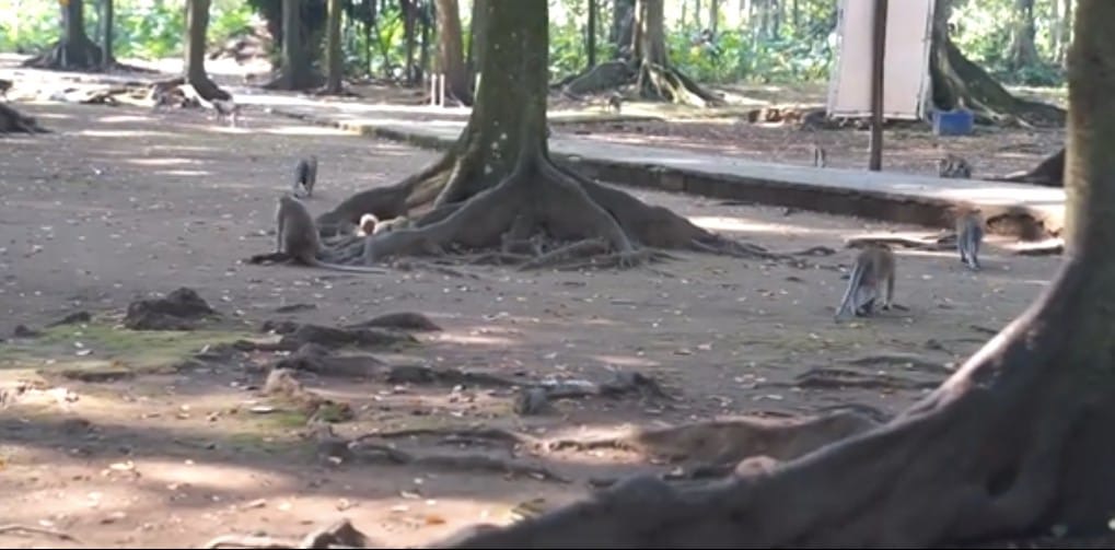 9b0547d0 5e79 407d 92ca 3f5ab86810c5