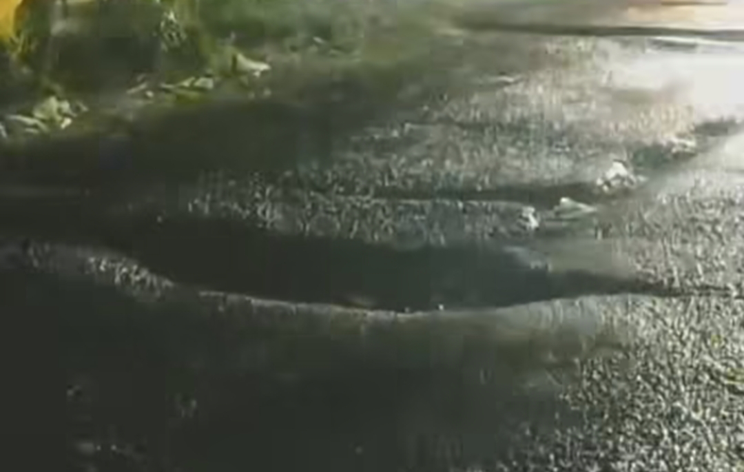 Screenshot 20240328 035316