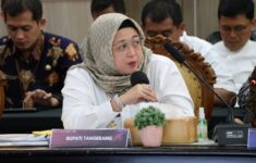 IMG 20250307 WA0111
