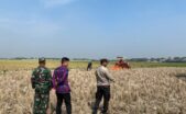 IMG 20250613 WA0132