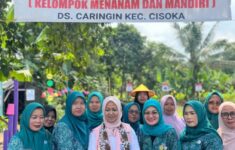 Screenshot 2025 12 08 15 51 12 227 com.instagram.android edit