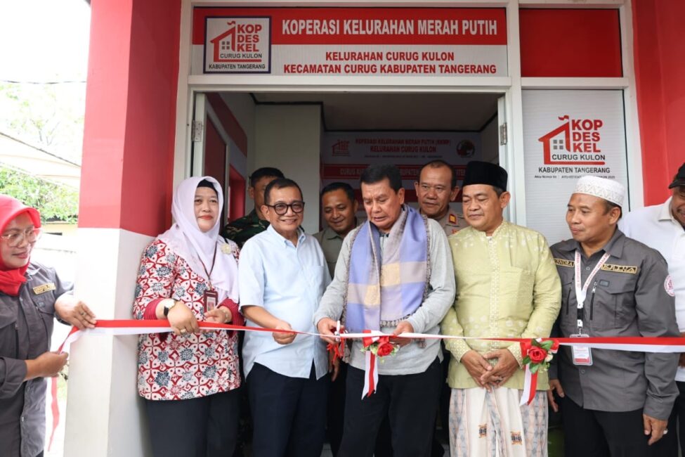 4c6993e5 f532 403c beab e2afefebaa45