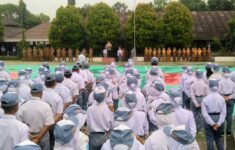 6d8291d0 0cbf 49af a40a fbcdb35b9f52