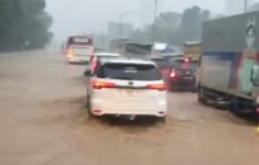 d2ab86c7 5051 4f38 8a02 a636dba574ed