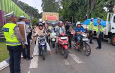 831f4e50 888f 47dc 82ae 2cc823c950f2